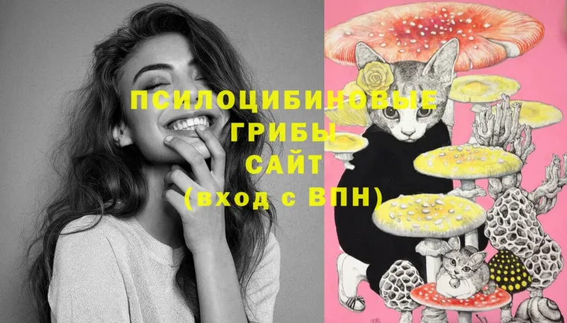 Псилоцибиновые грибы MAGIC MUSHROOMS Амурск